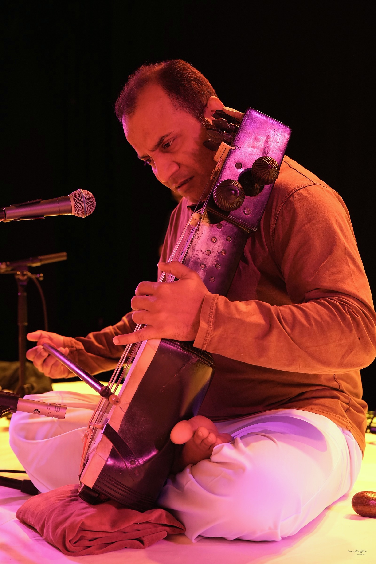 Close-up of a musician playing a bowed sarangi under purple stage light